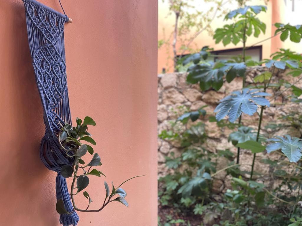 Apartmán Aldea Savia By Andiani Travel Tulum Exteriér fotografie